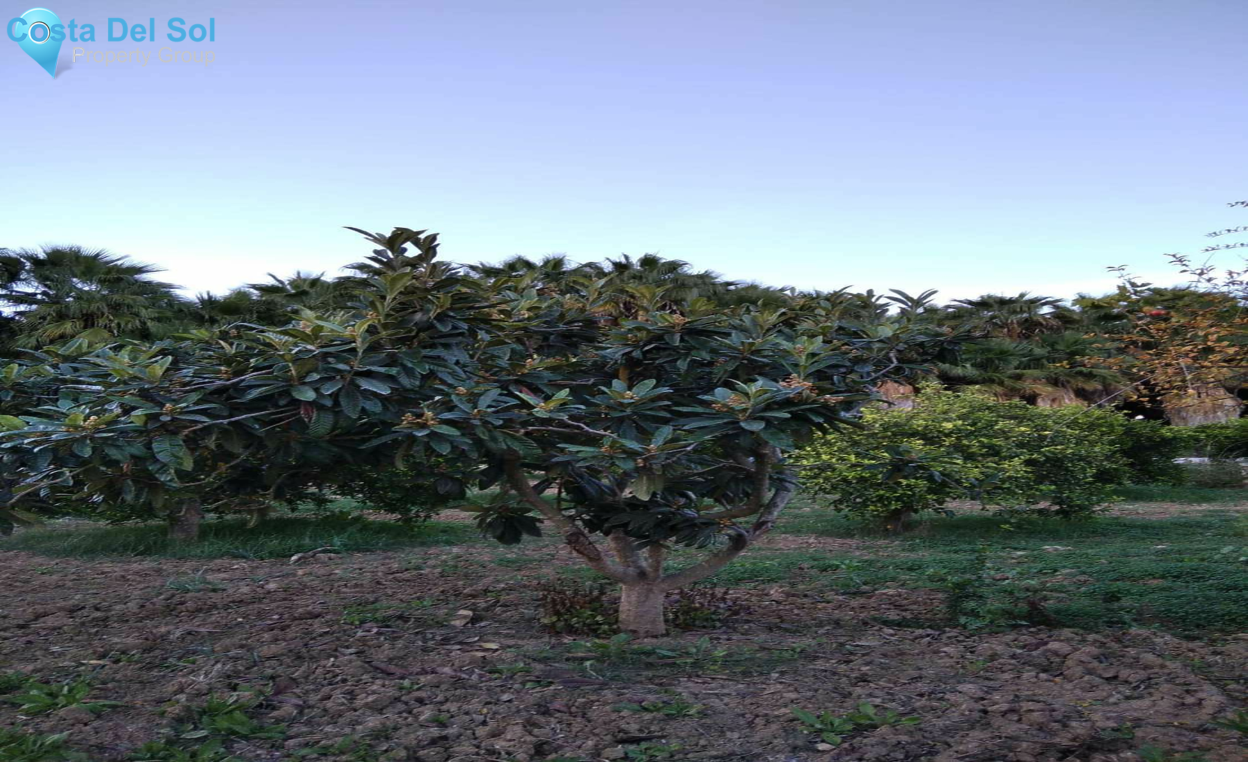 Land in Alhaurín de la Torre-1450153