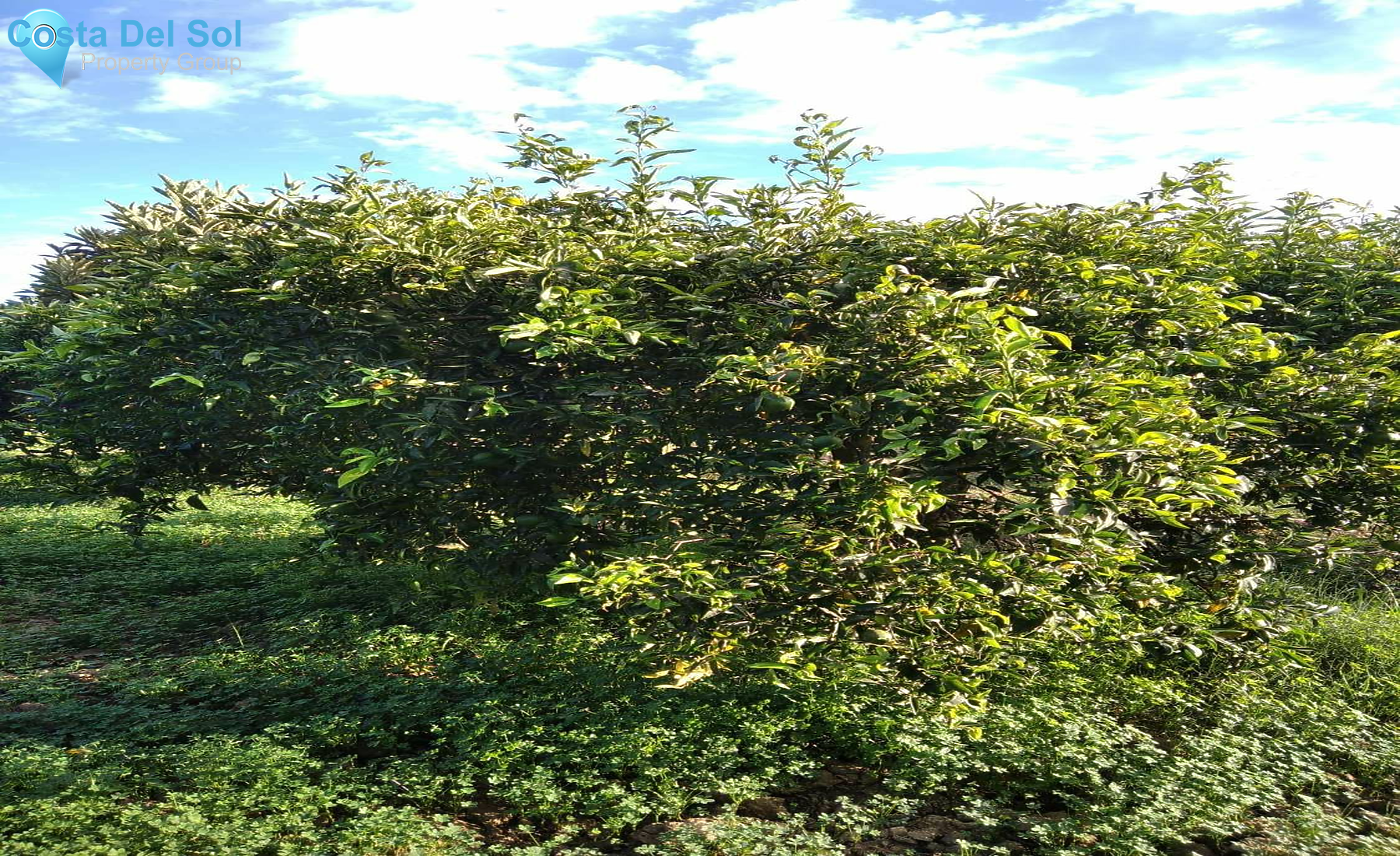 Land in Alhaurín de la Torre-1450155