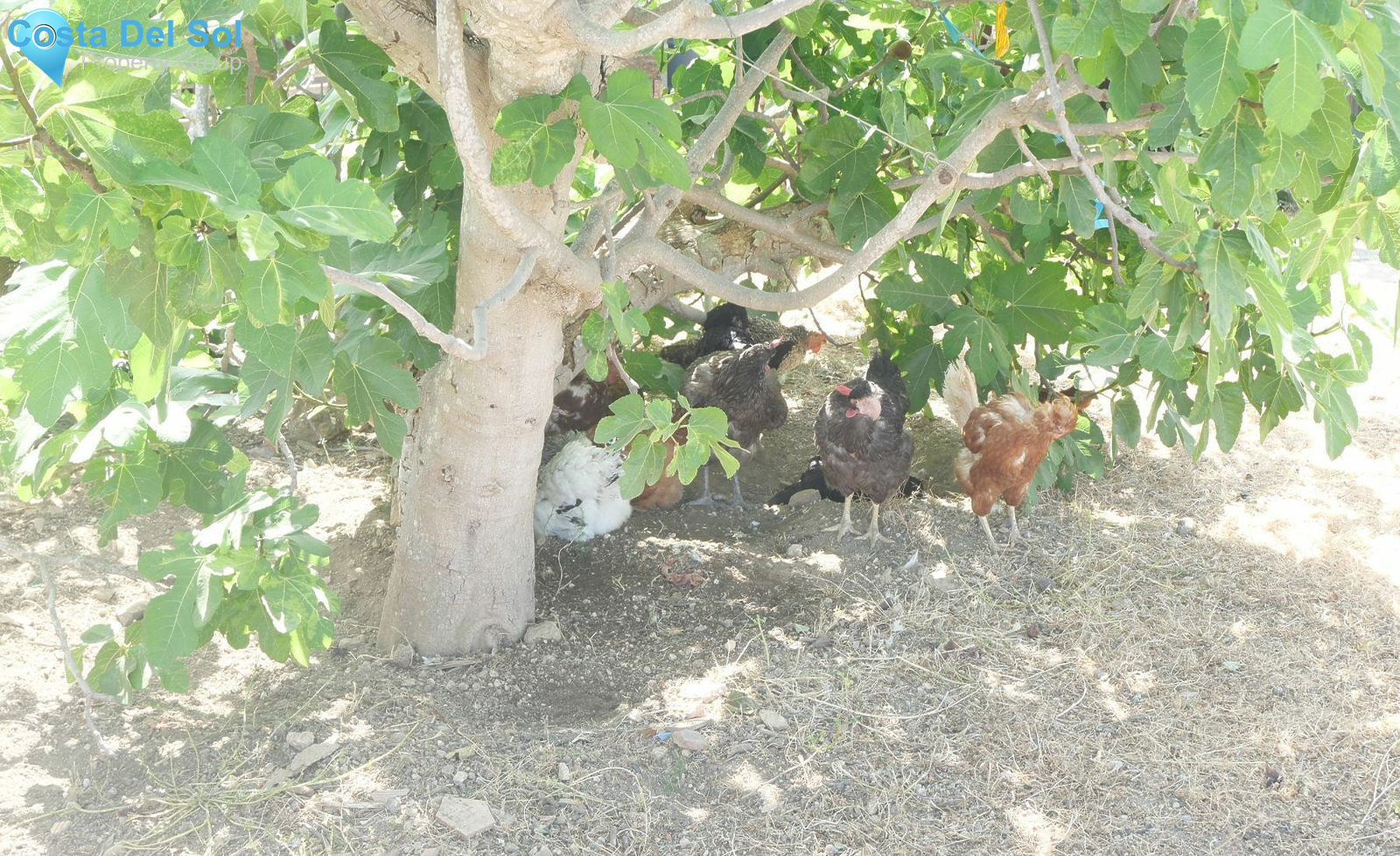 Land in Alhaurín el Grande-1388875