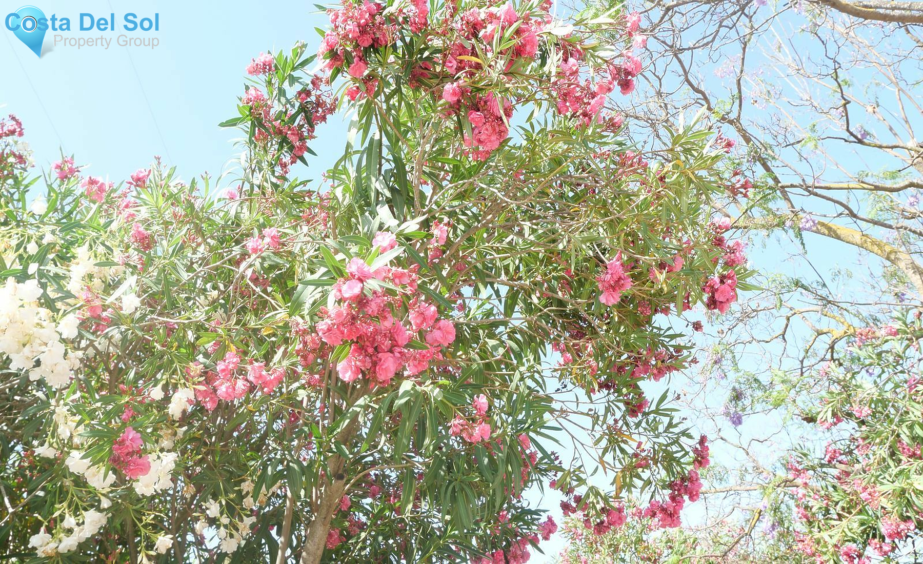 Land in Alhaurín el Grande-1388866