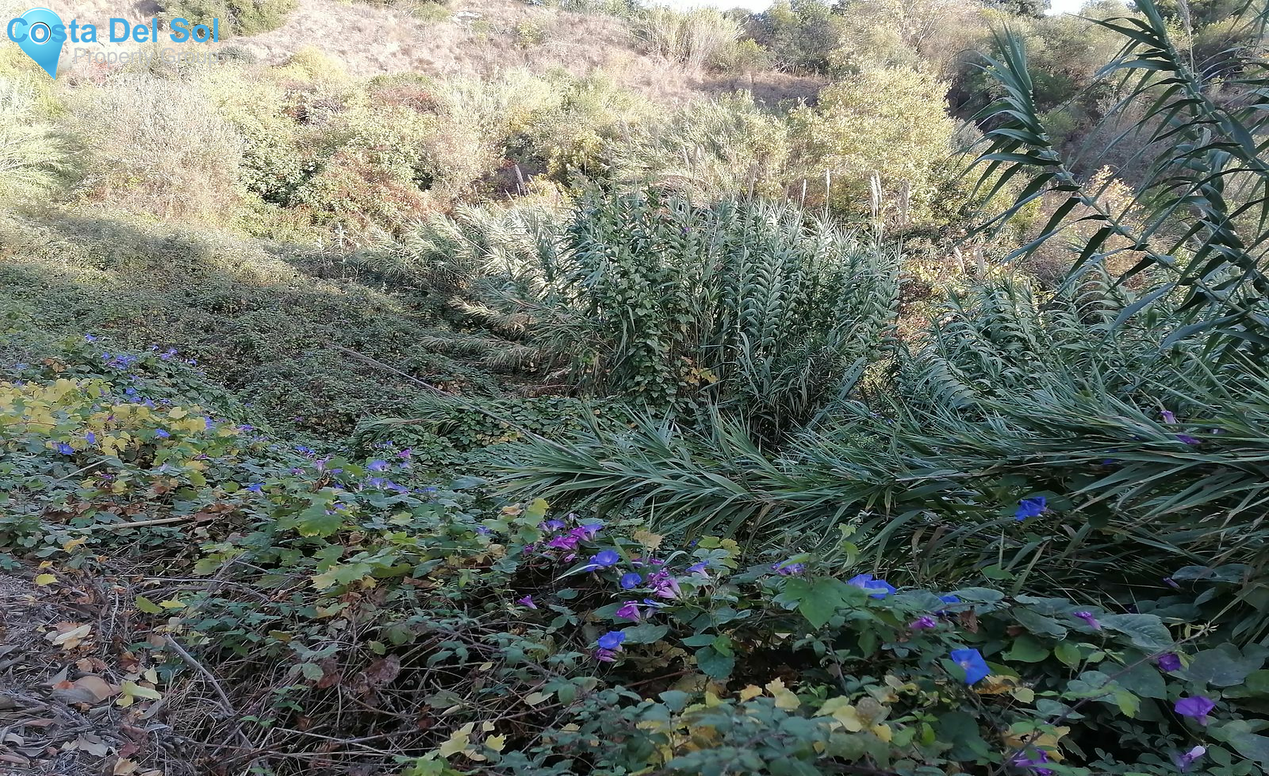 Land in Alhaurín el Grande-1530356
