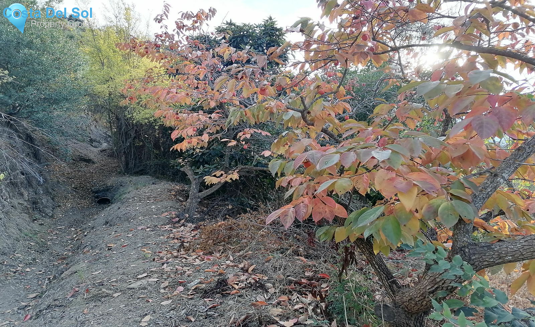 Land in Alhaurín el Grande-1530359