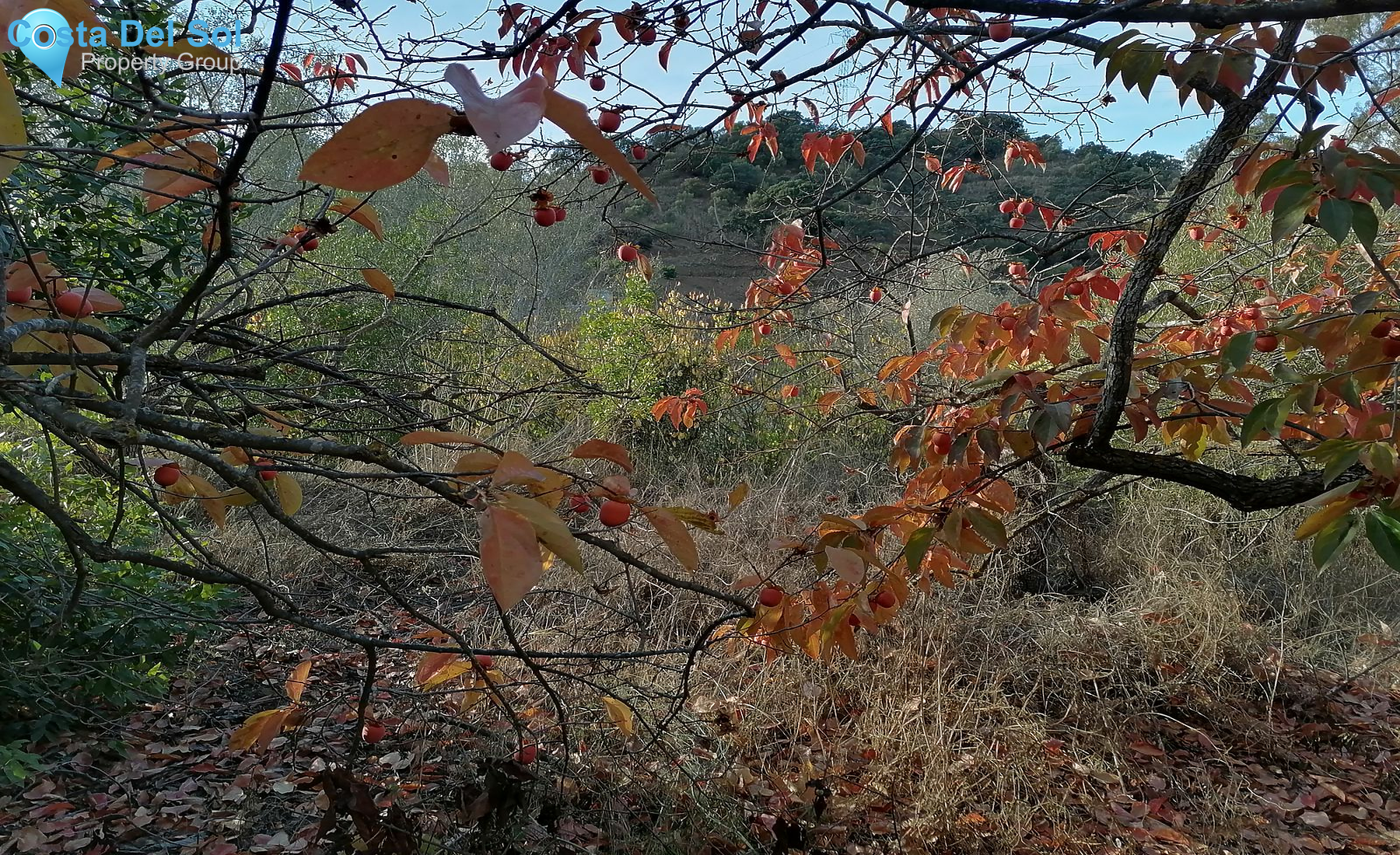 Land in Alhaurín el Grande-1530360