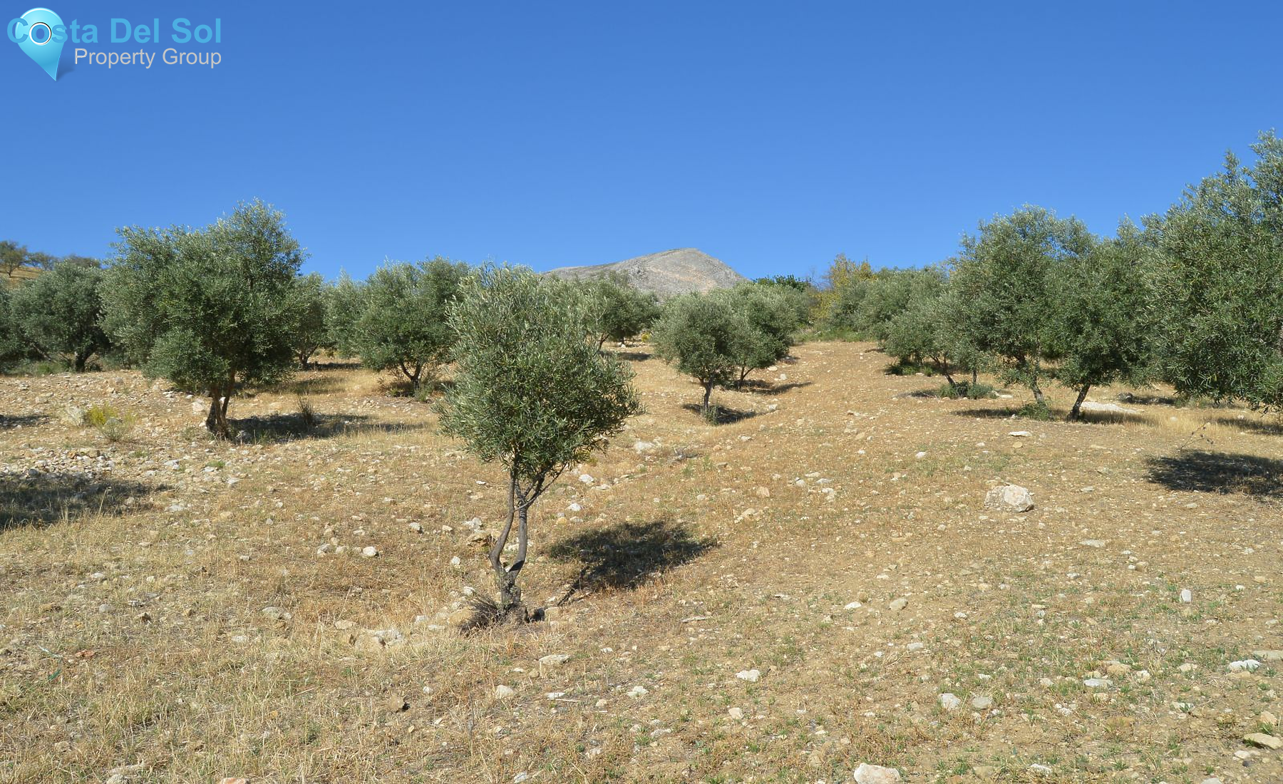 Land in Alora