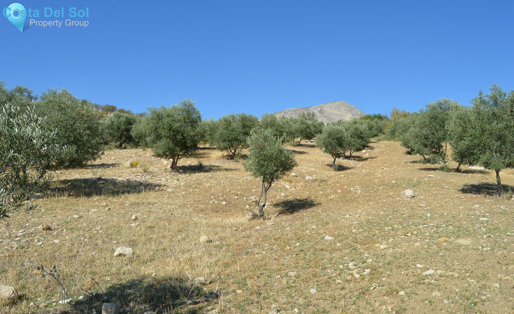 Land in Alora-1168446