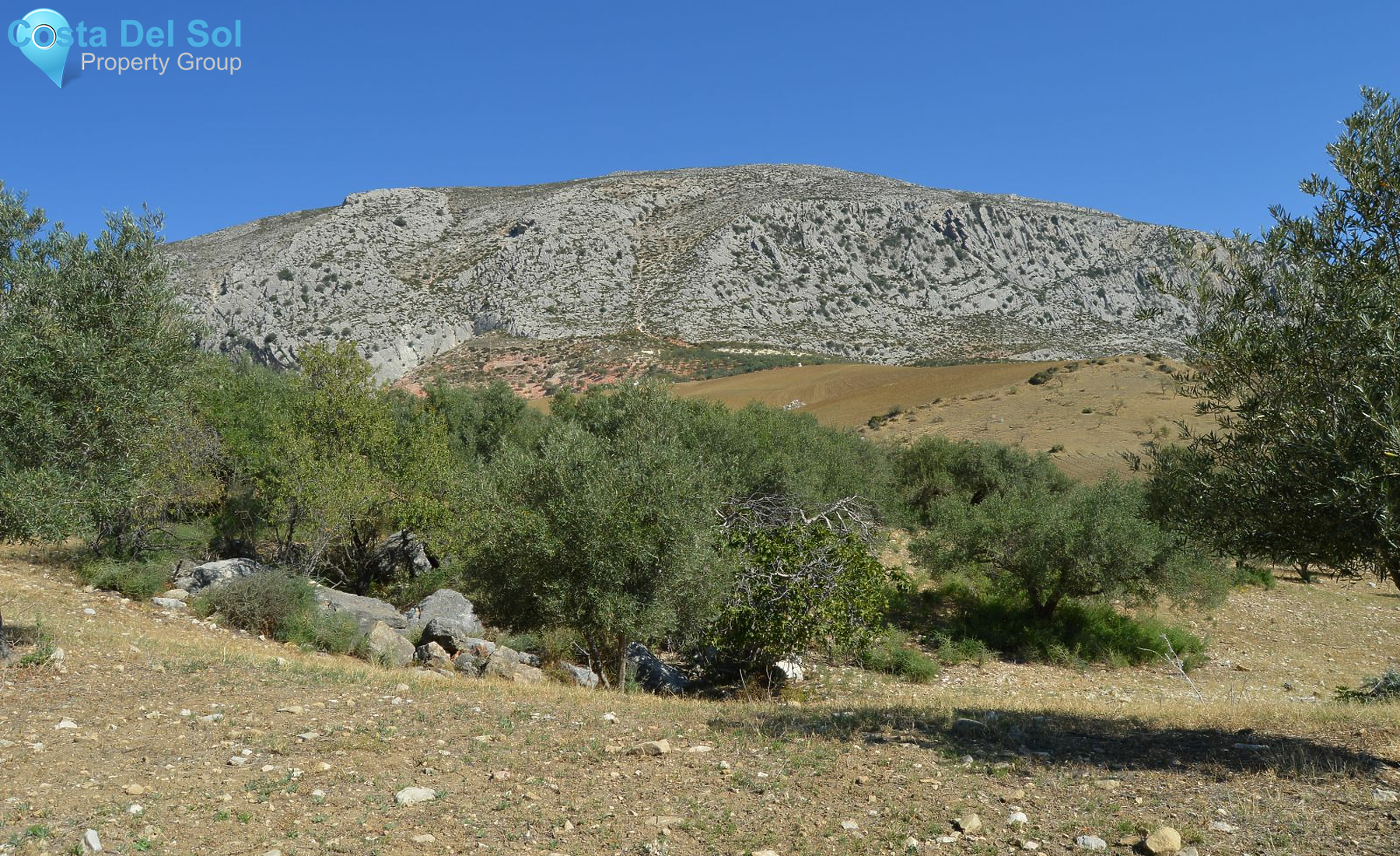 Land in Alora-1168449