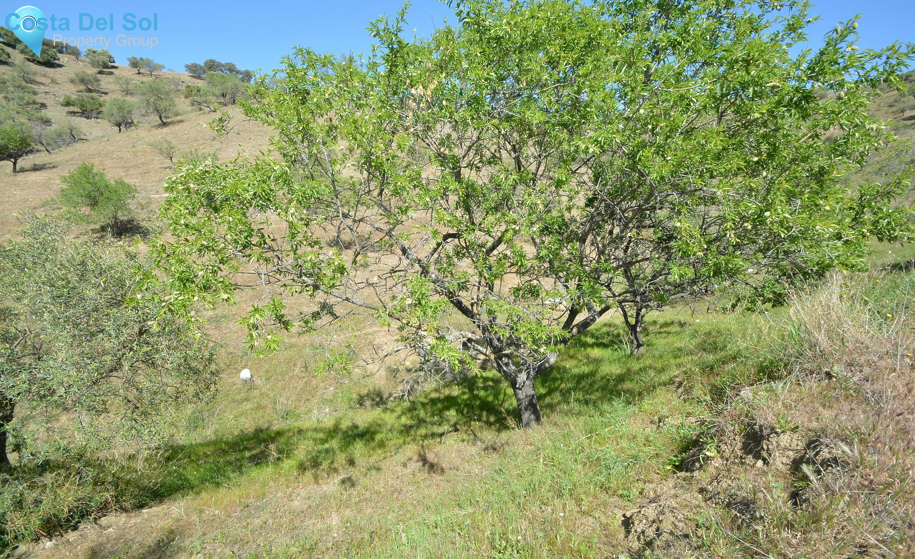 Land in Alora-1233128