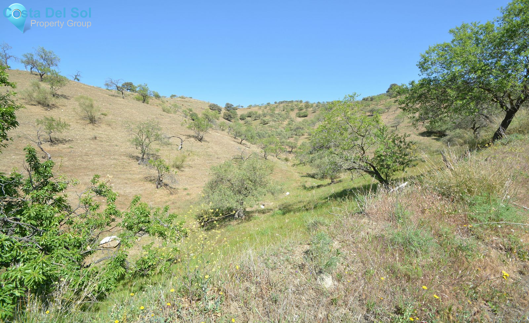 Land in Alora-1233125