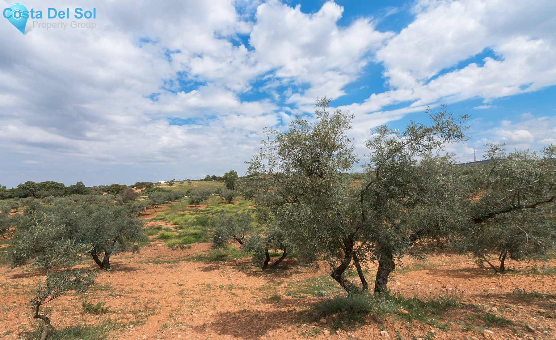 Land in Archidona-1174736