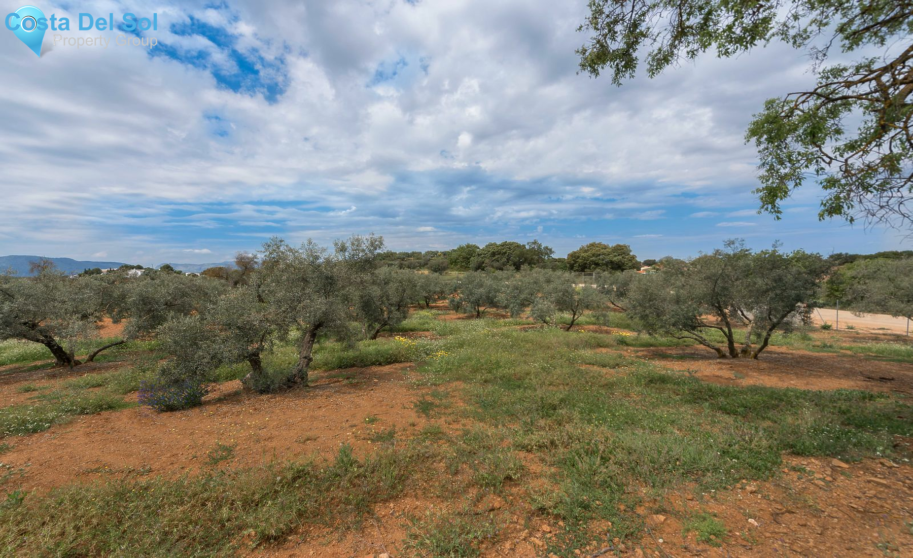 Land in Archidona-1174737