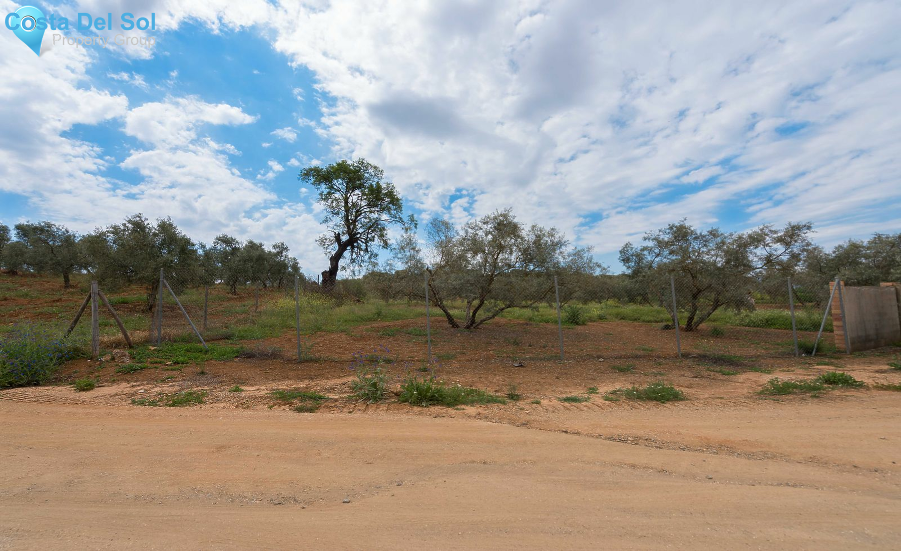 Land in Archidona-1174738