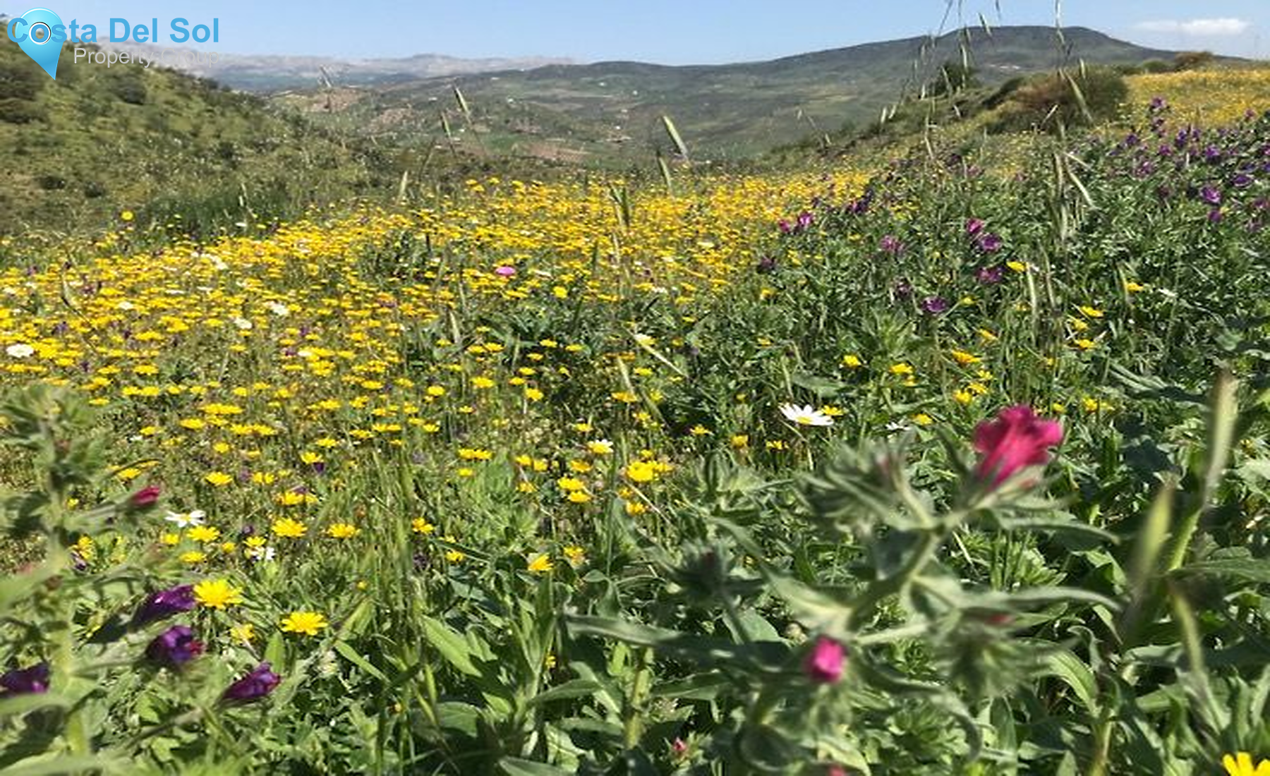 Land in Casabermeja-1233138