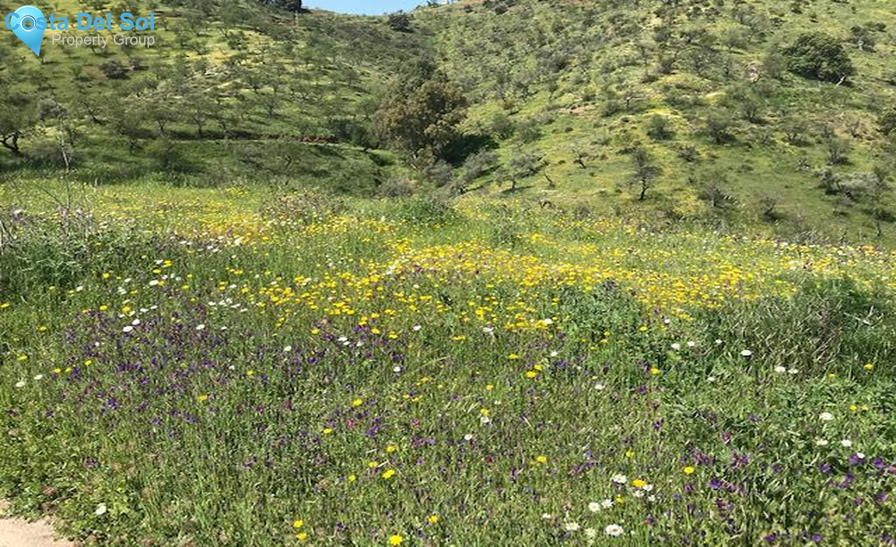 Land in Casabermeja-1233139