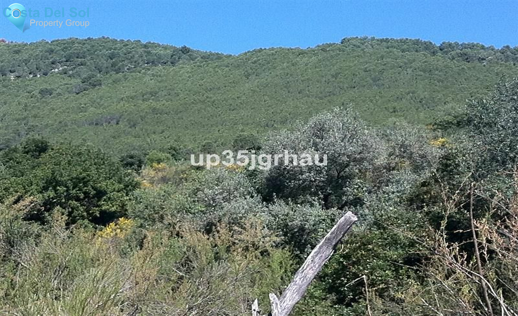 Land in Casares-1228011