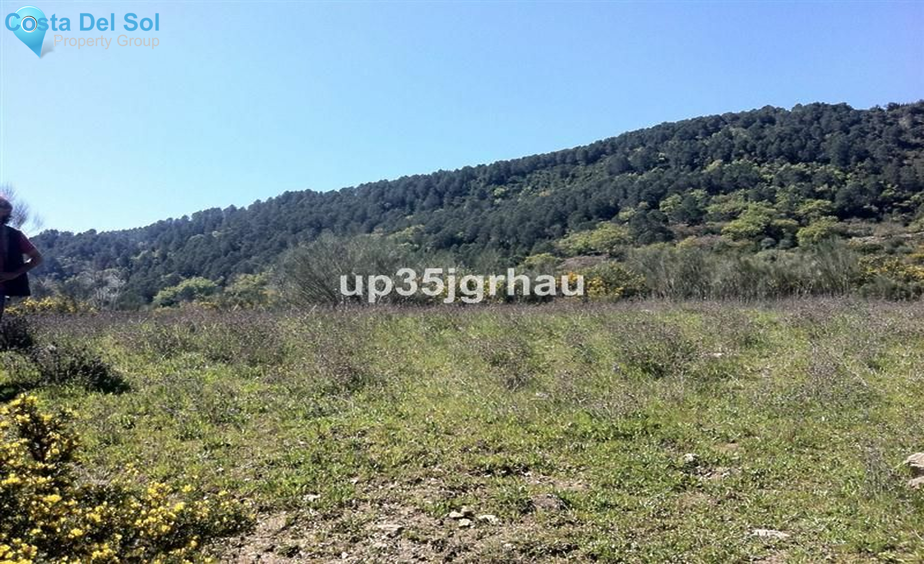 Land in Casares-1228013