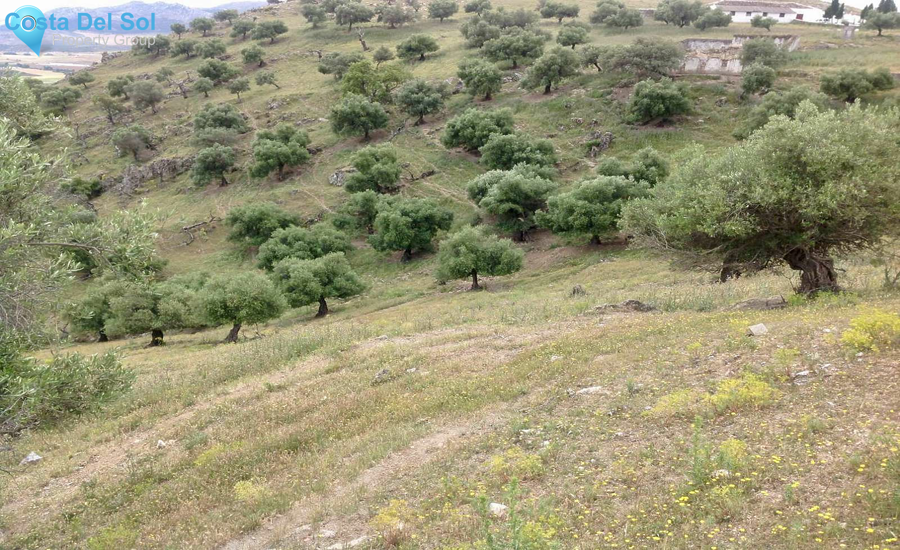 Land in Cañete la Real