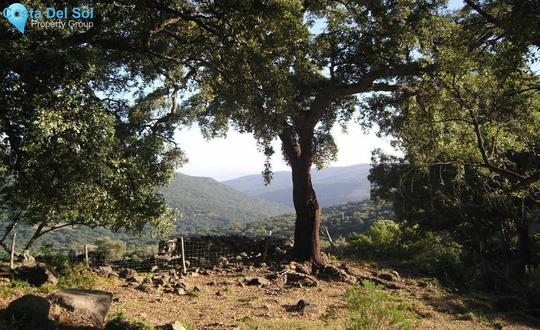 Land in Cortes de la Frontera-1219444