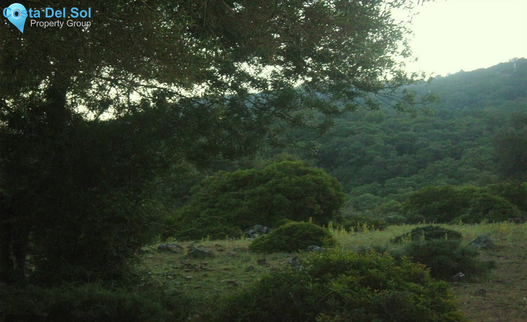 Land in Cortes de la Frontera-1219453