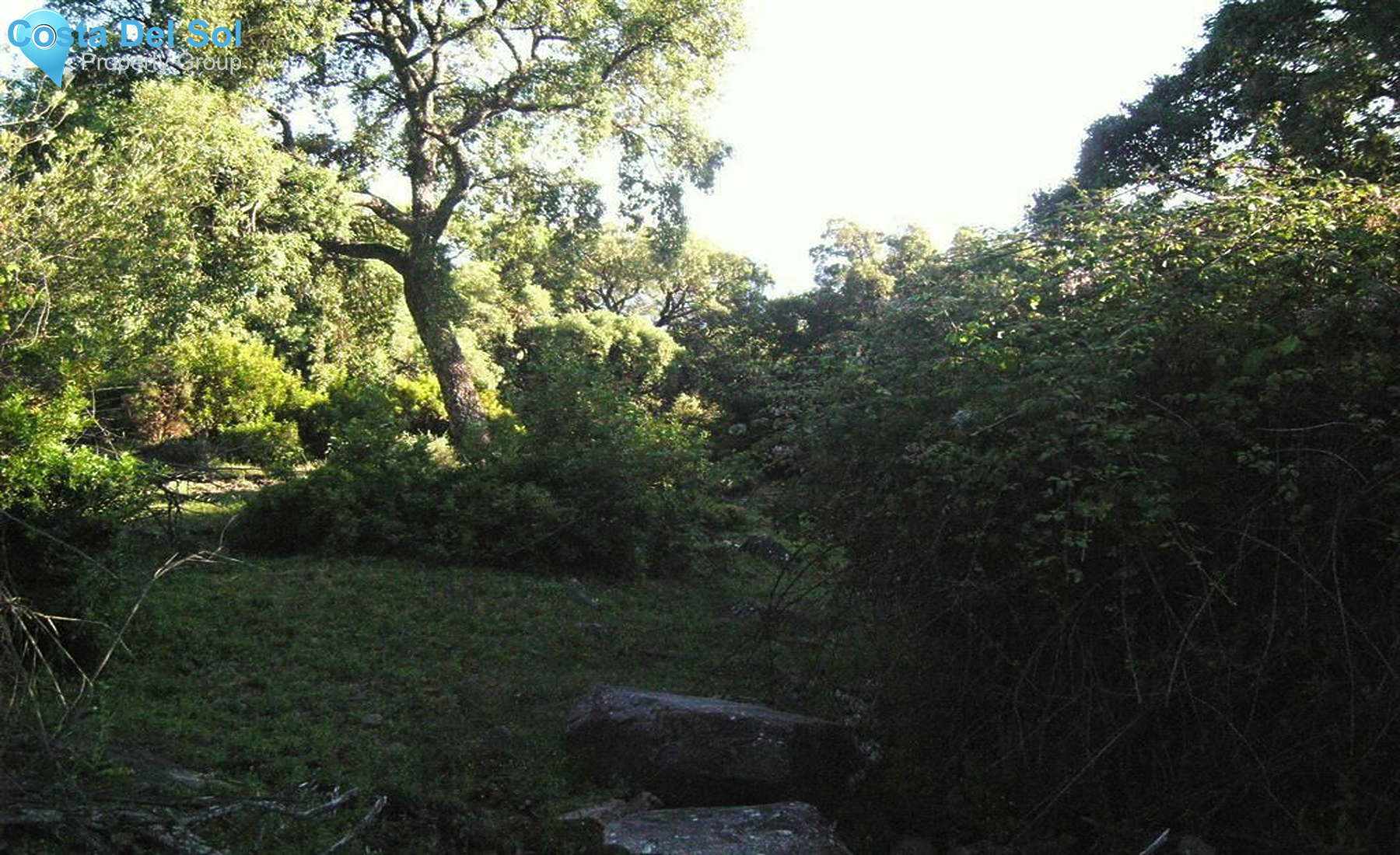 Land in Cortes de la Frontera-1219454