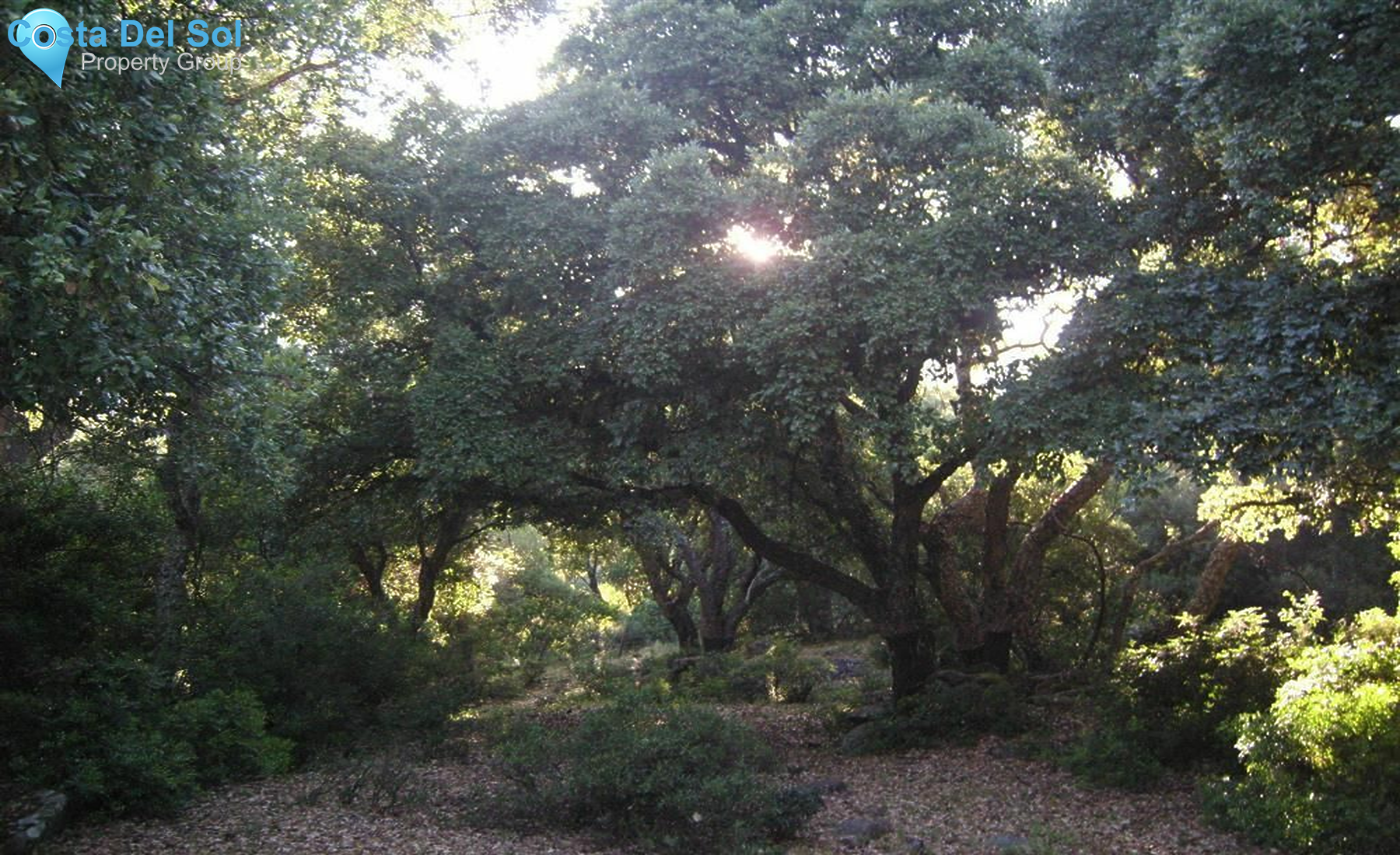 Land in Cortes de la Frontera-1219449