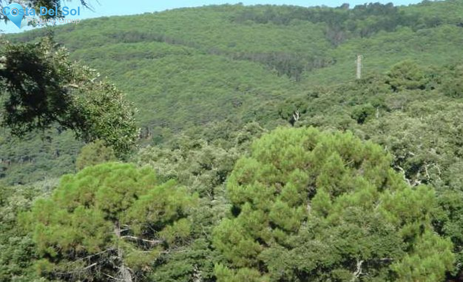 Land in Cortes de la Frontera-1233630