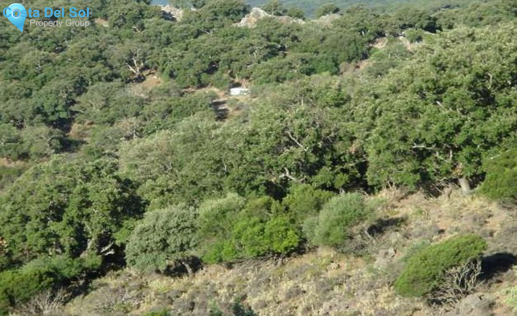 Land in Cortes de la Frontera-1233632