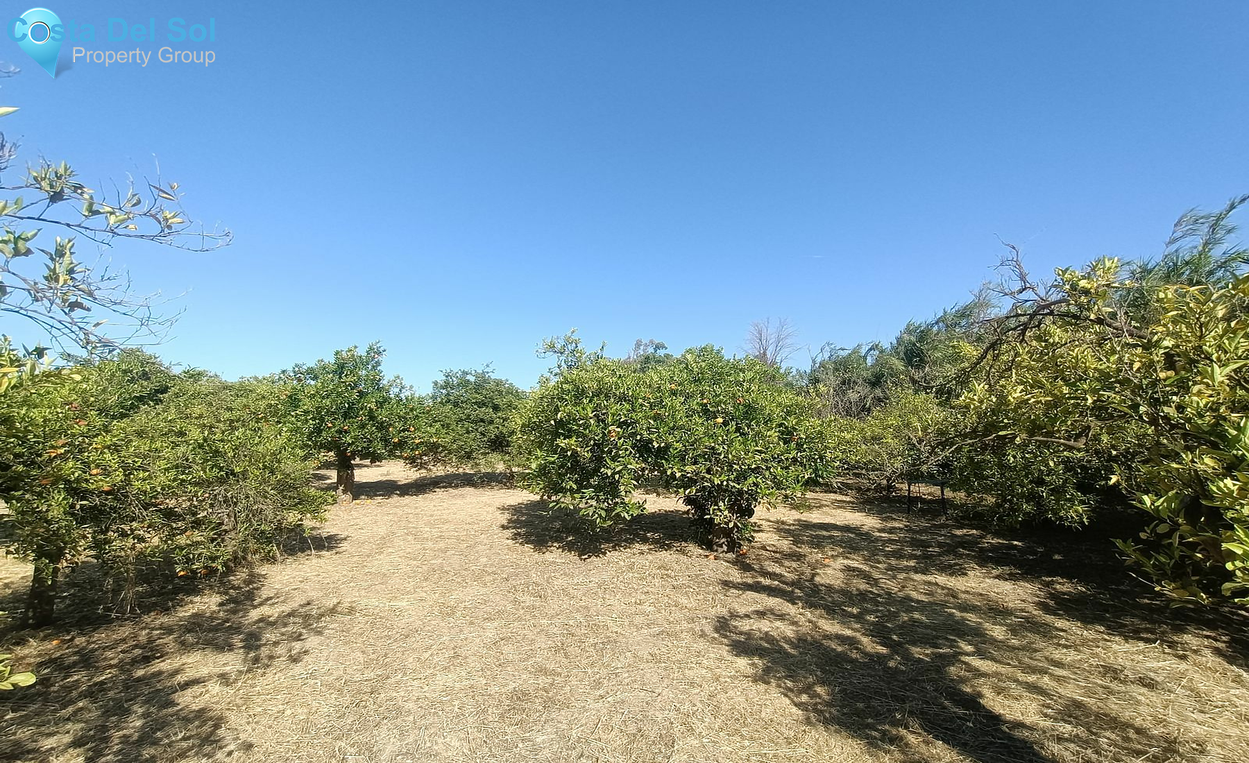 Land in Coín-1168588