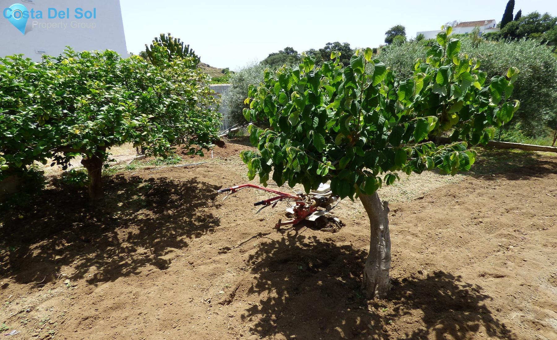 Land in El Hornillo-1129833