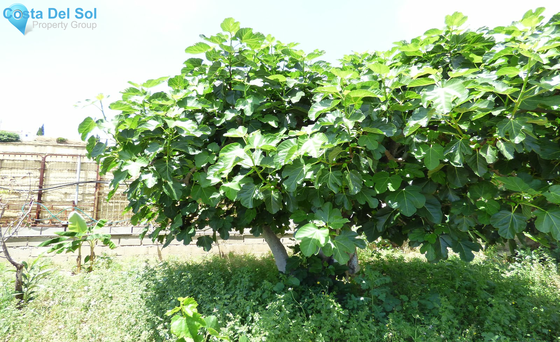 Land in El Hornillo-1129834