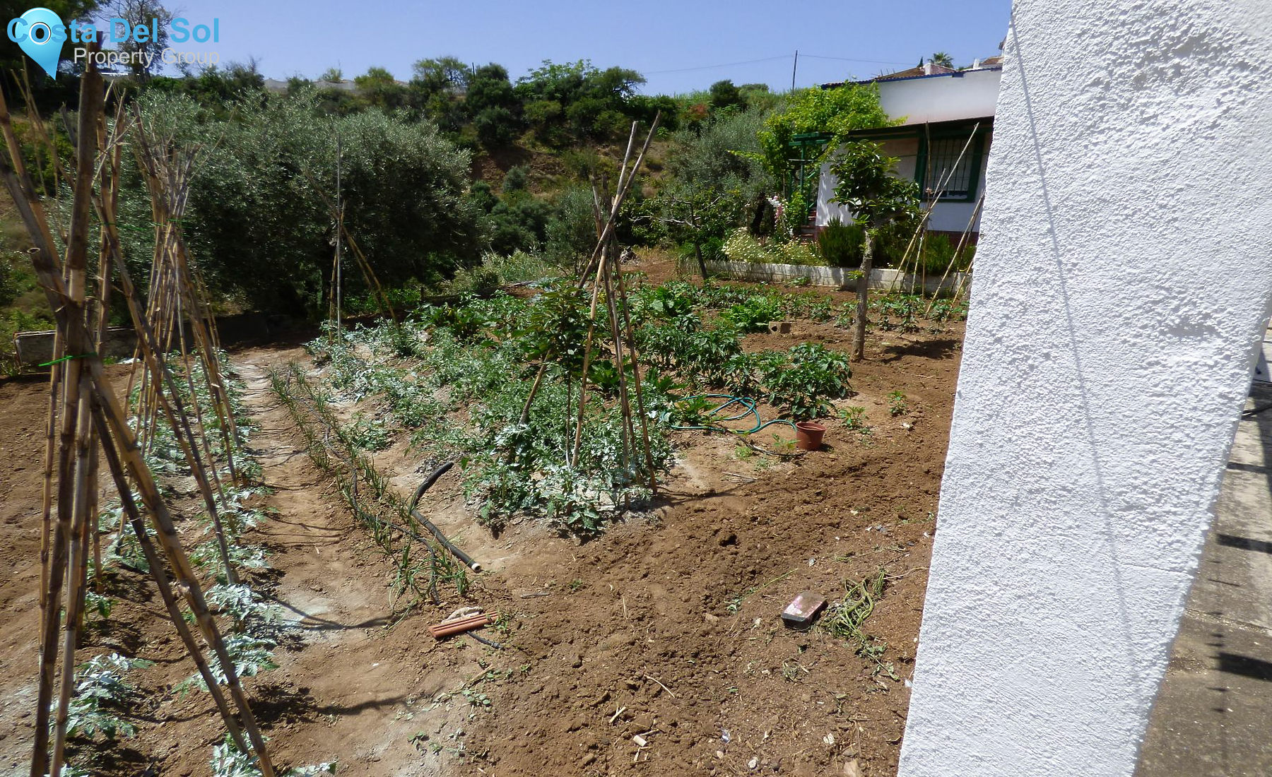 Land in El Hornillo-1129836