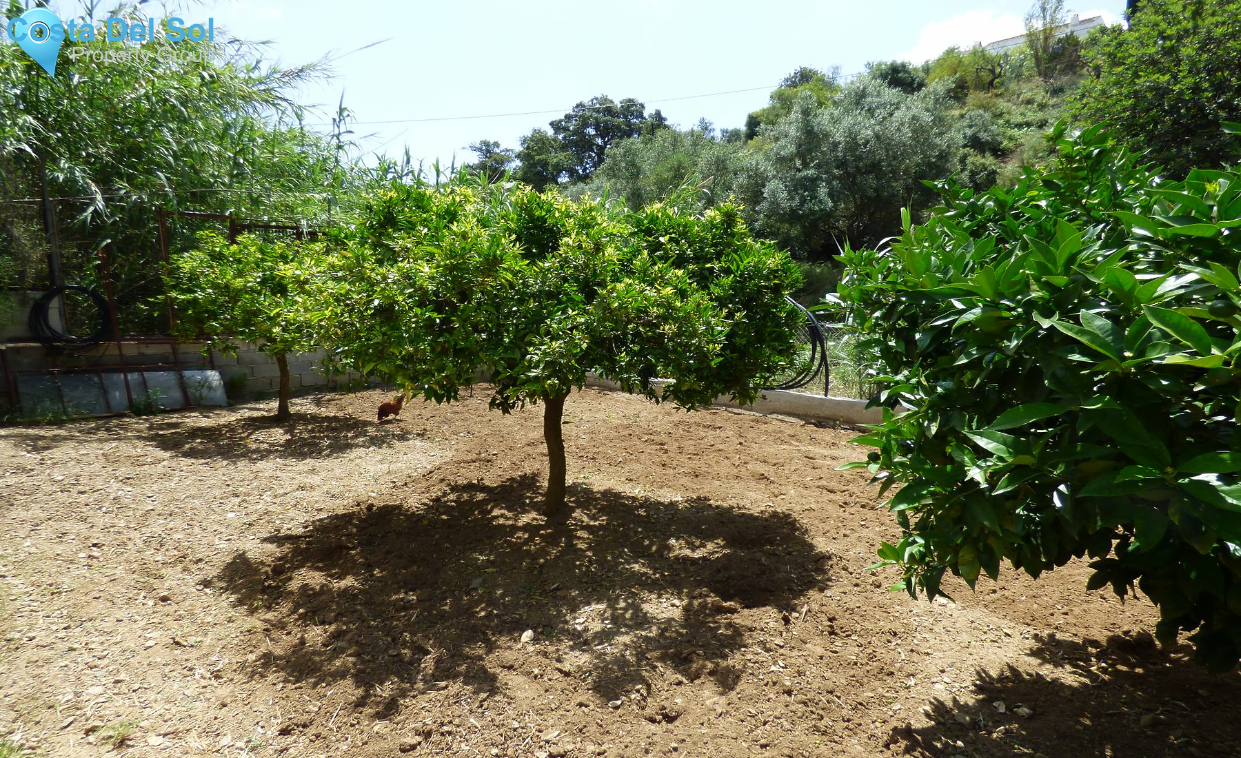 Land in El Hornillo-1129841