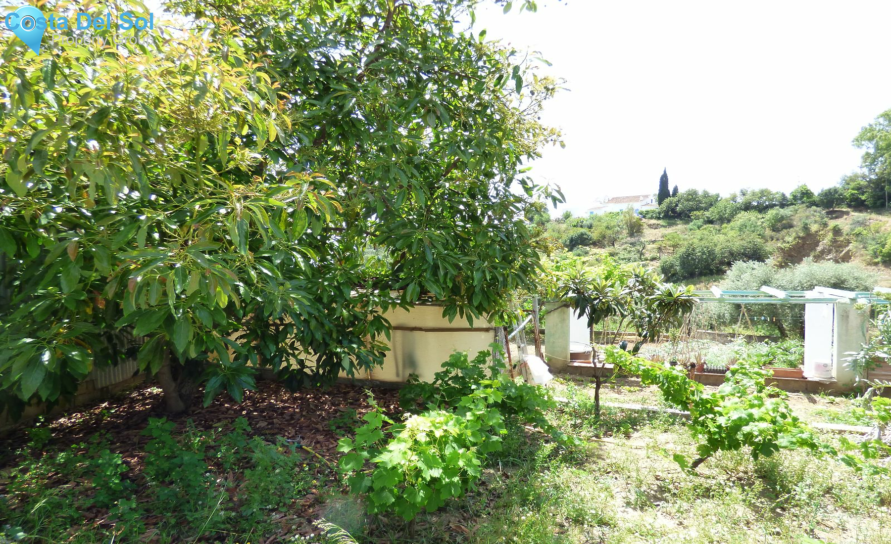 Land in El Hornillo-1129830