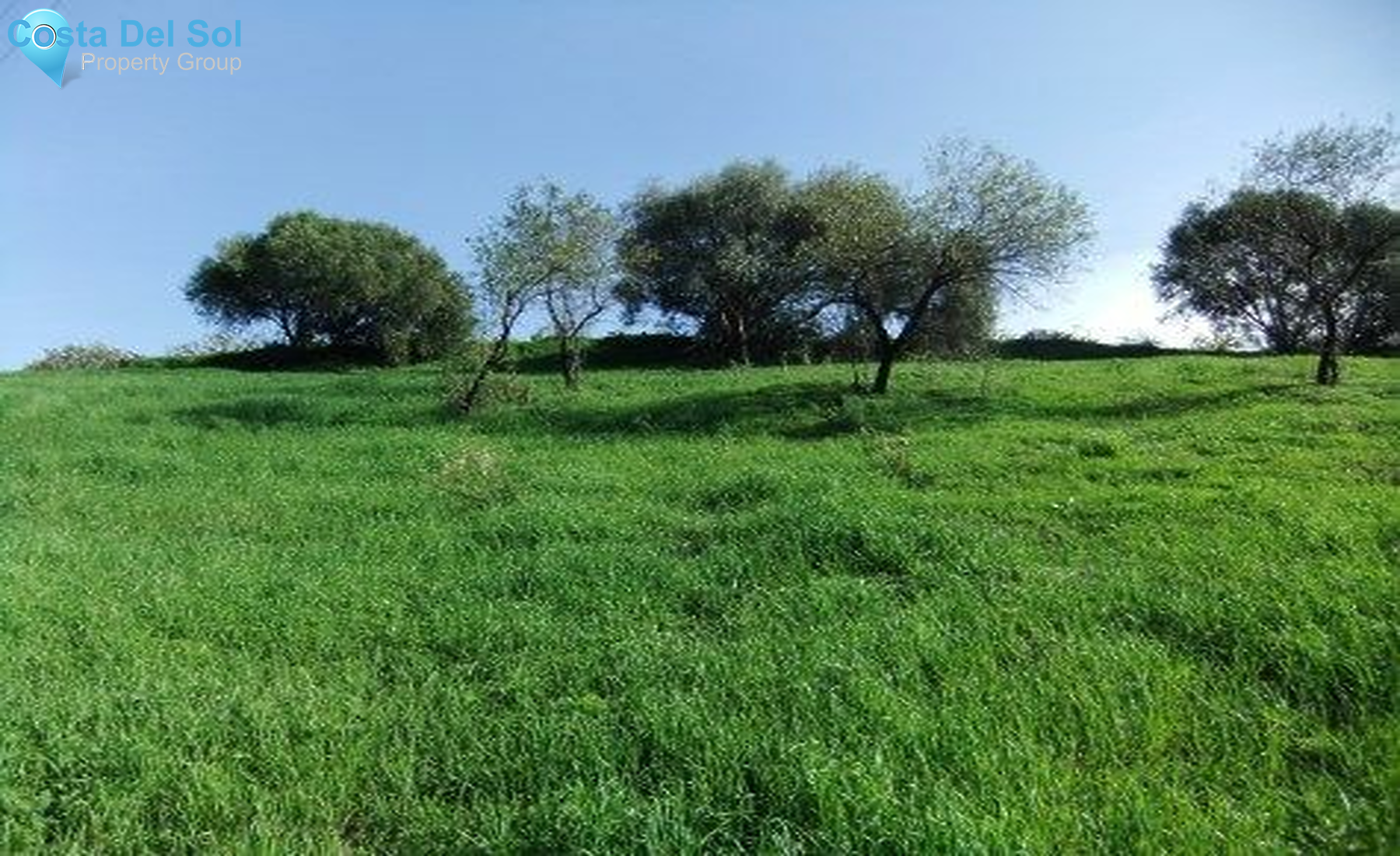 Land in Estepona-1213253