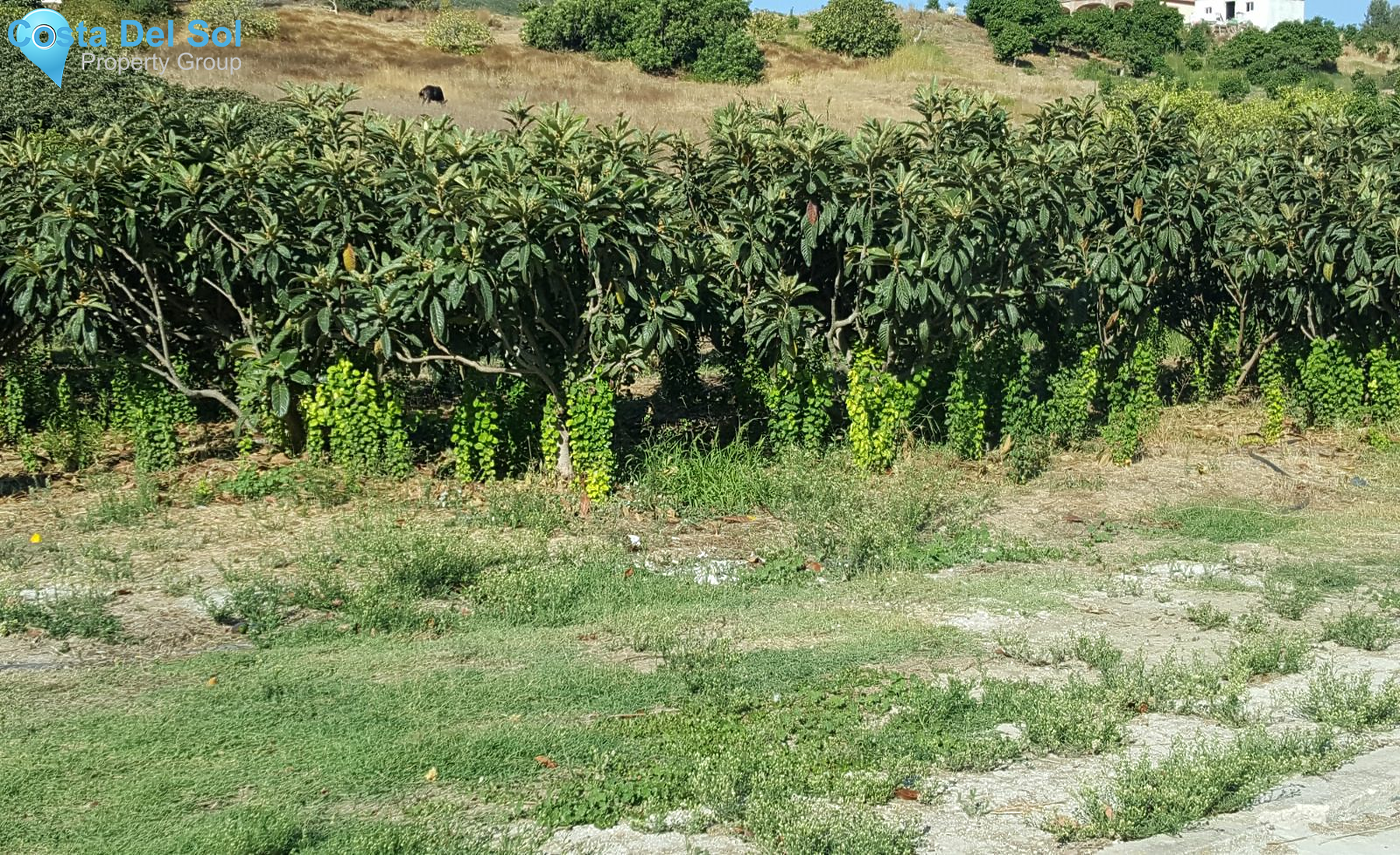 Land in Estepona-1220789