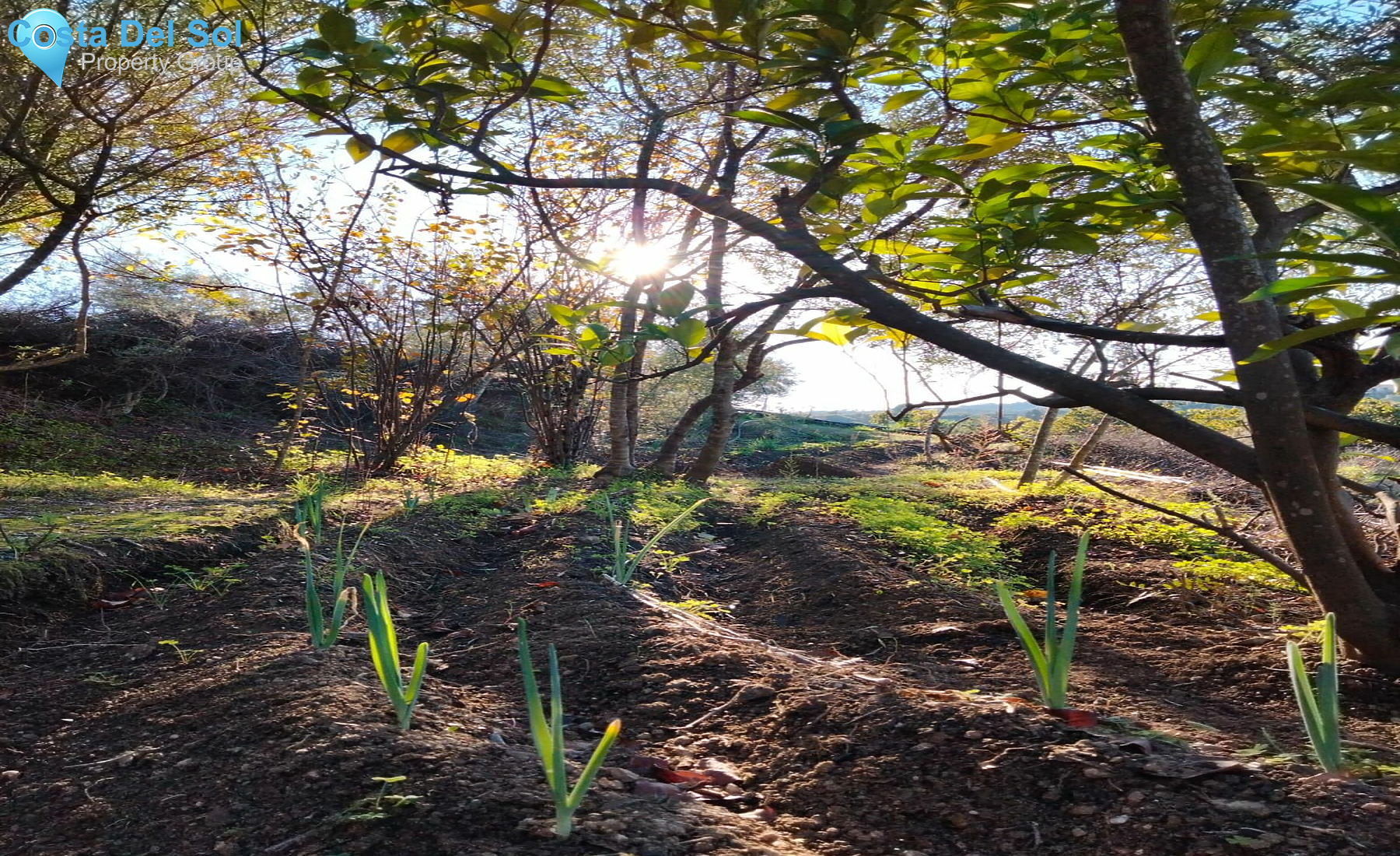 Land in Estepona-1399261