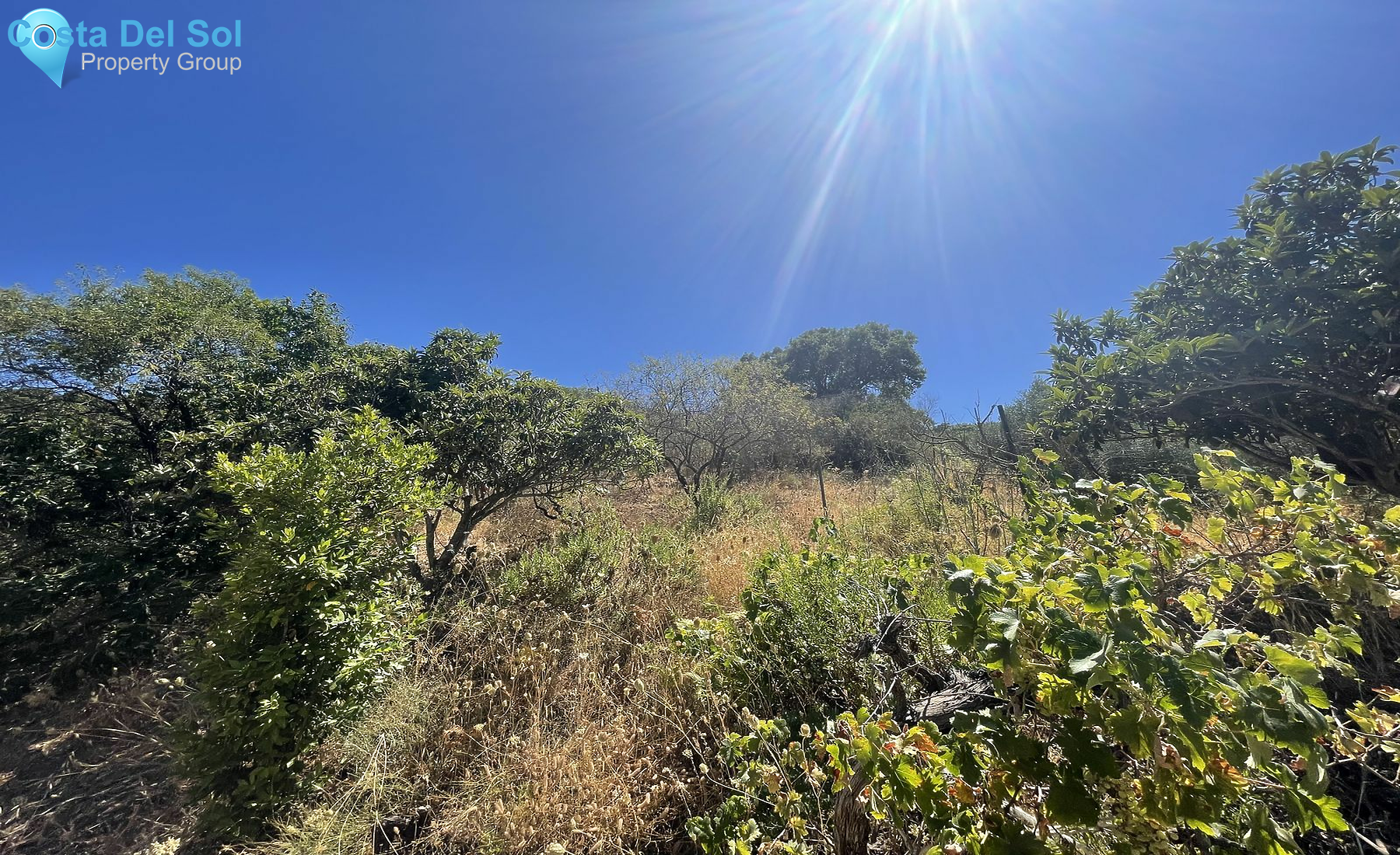 Land in Estepona-1427833