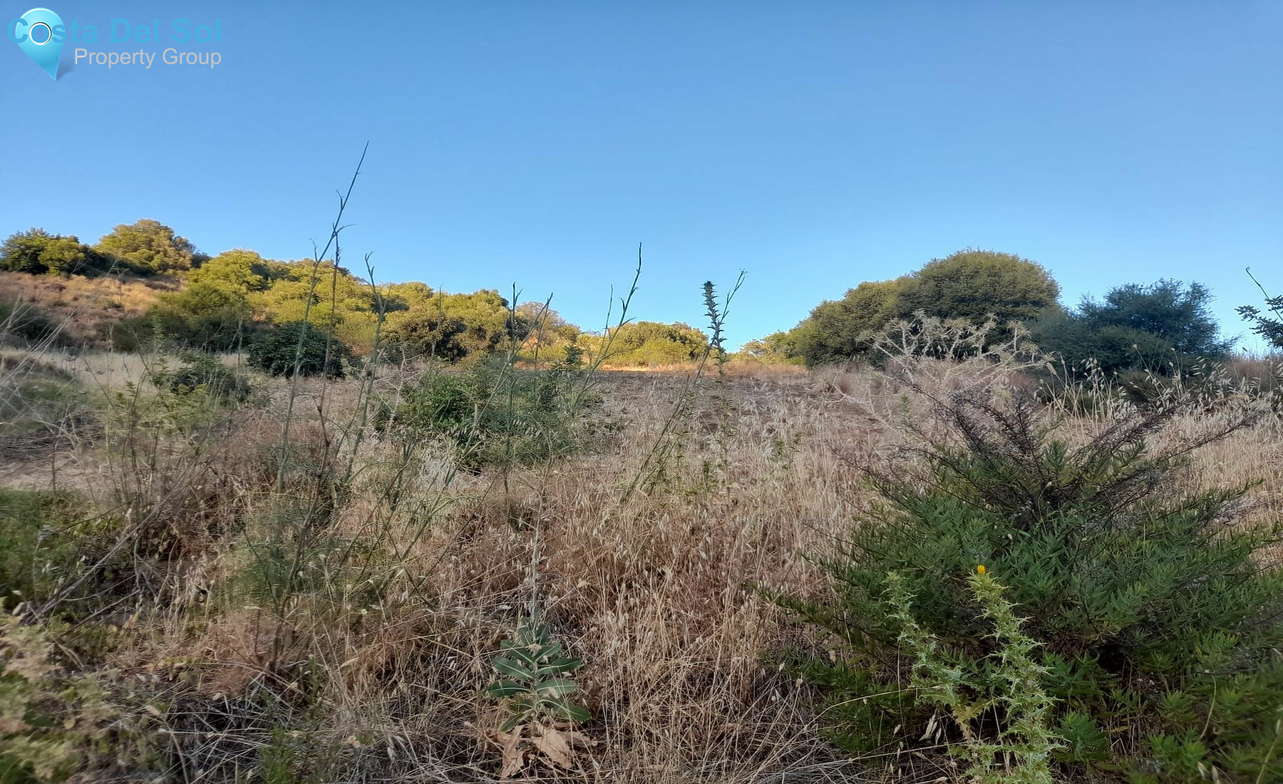 Land in Estepona-1428384