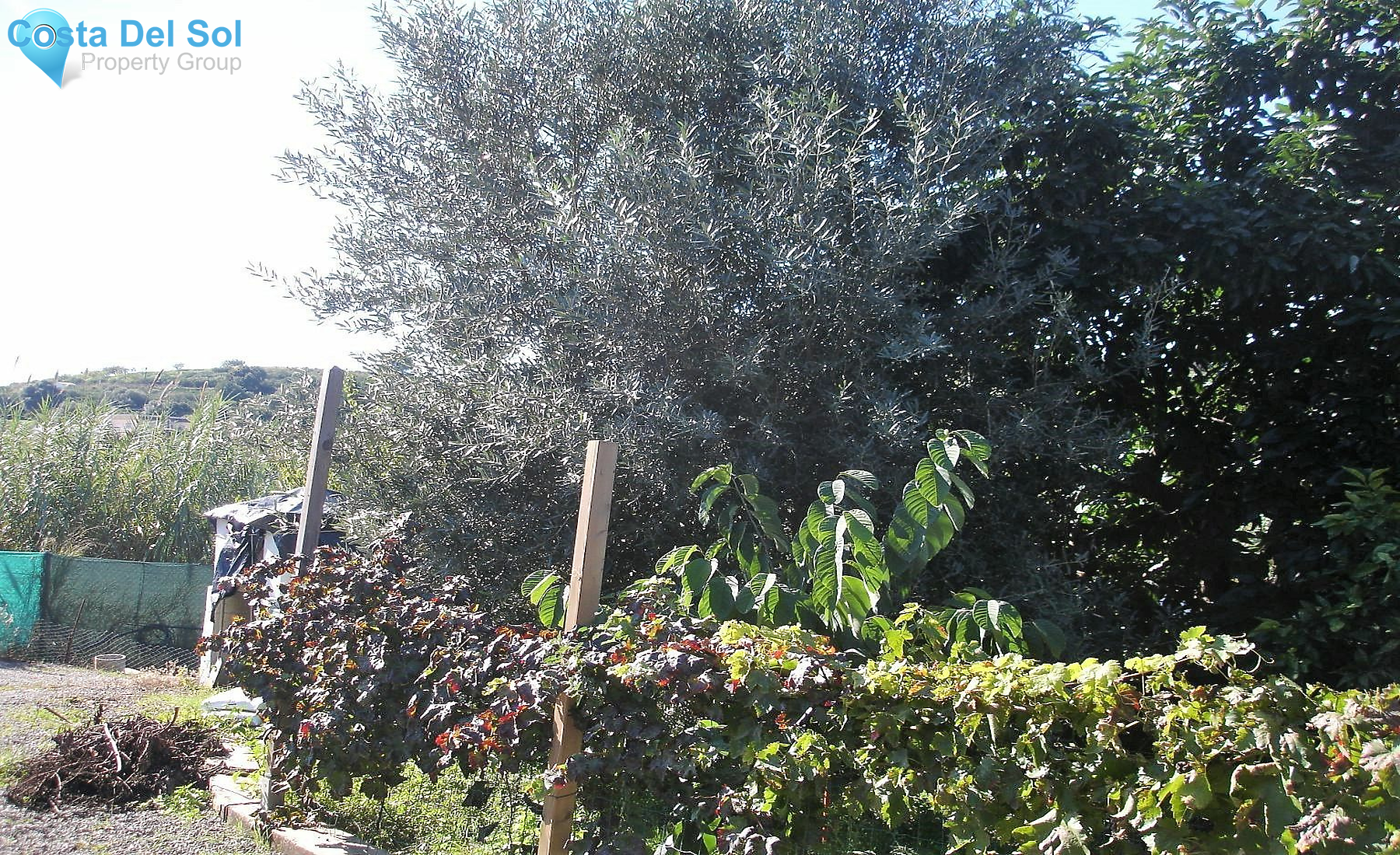 Land in Estepona-1471142