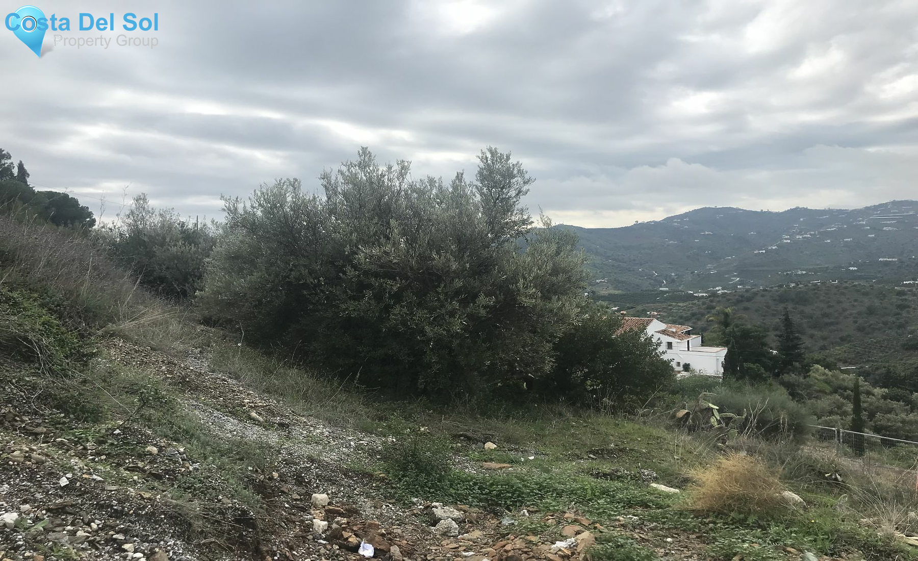 Land in Frigiliana-1554671