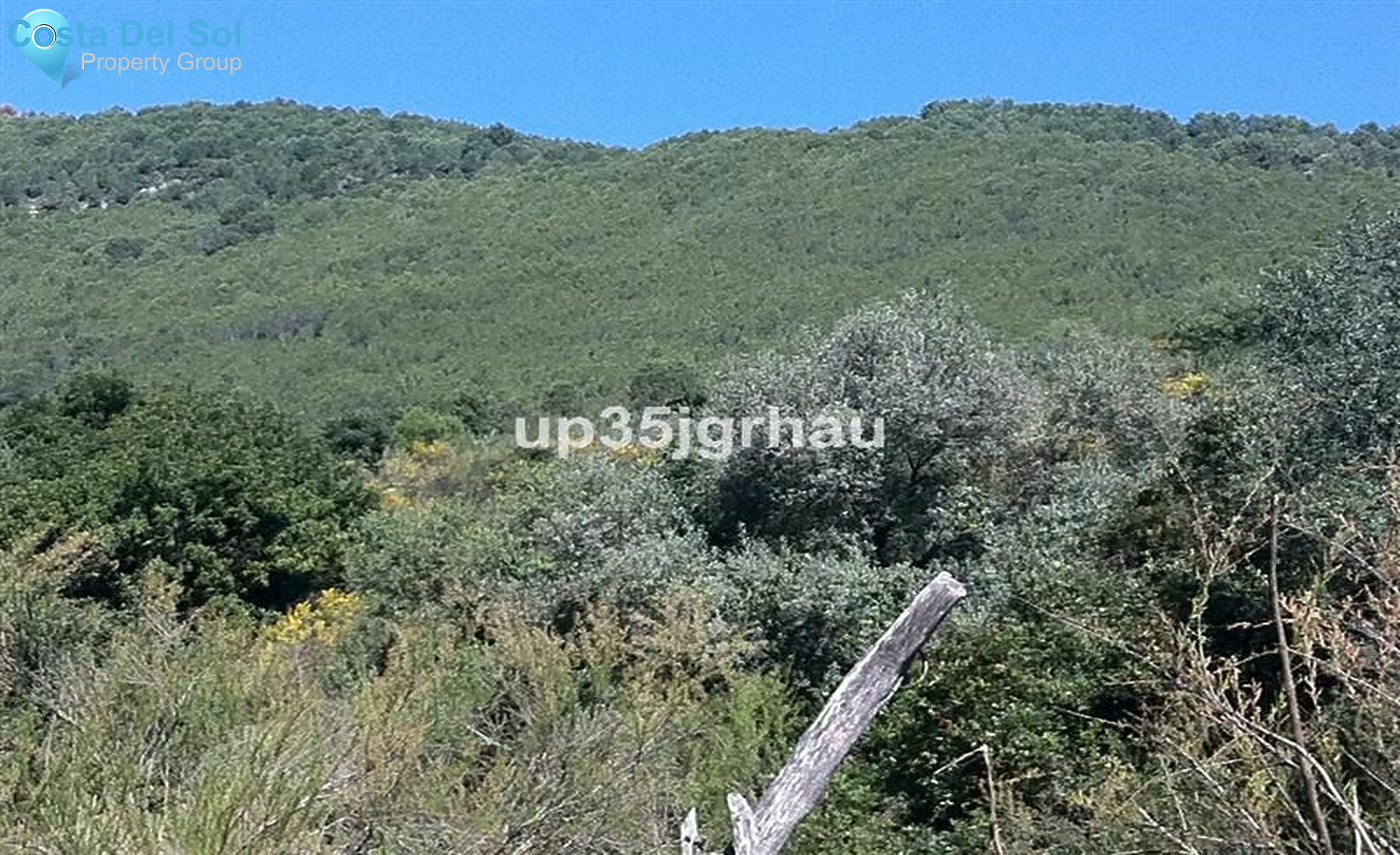 Land in Gaucín-1227999