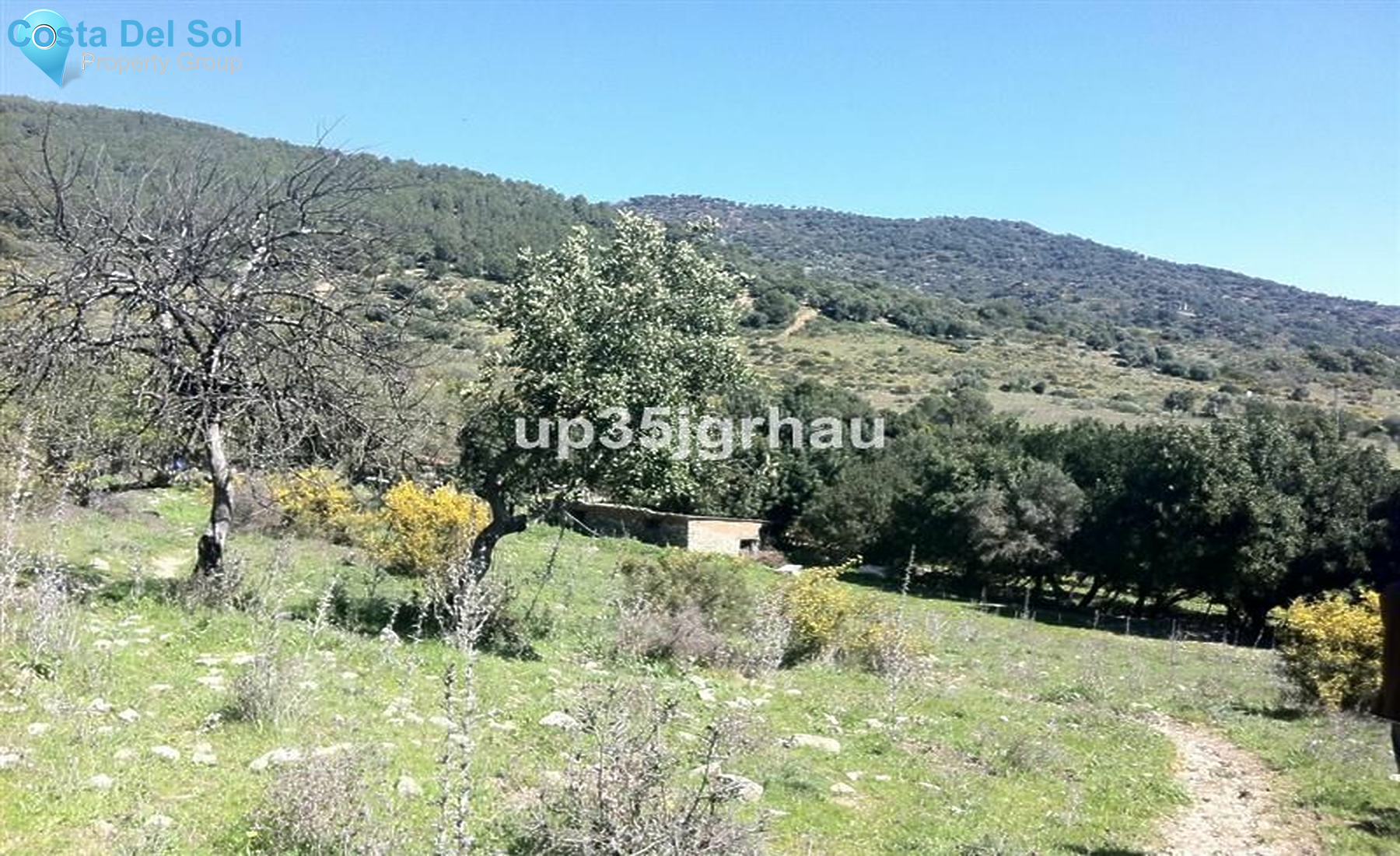 Land in Gaucín-1227998