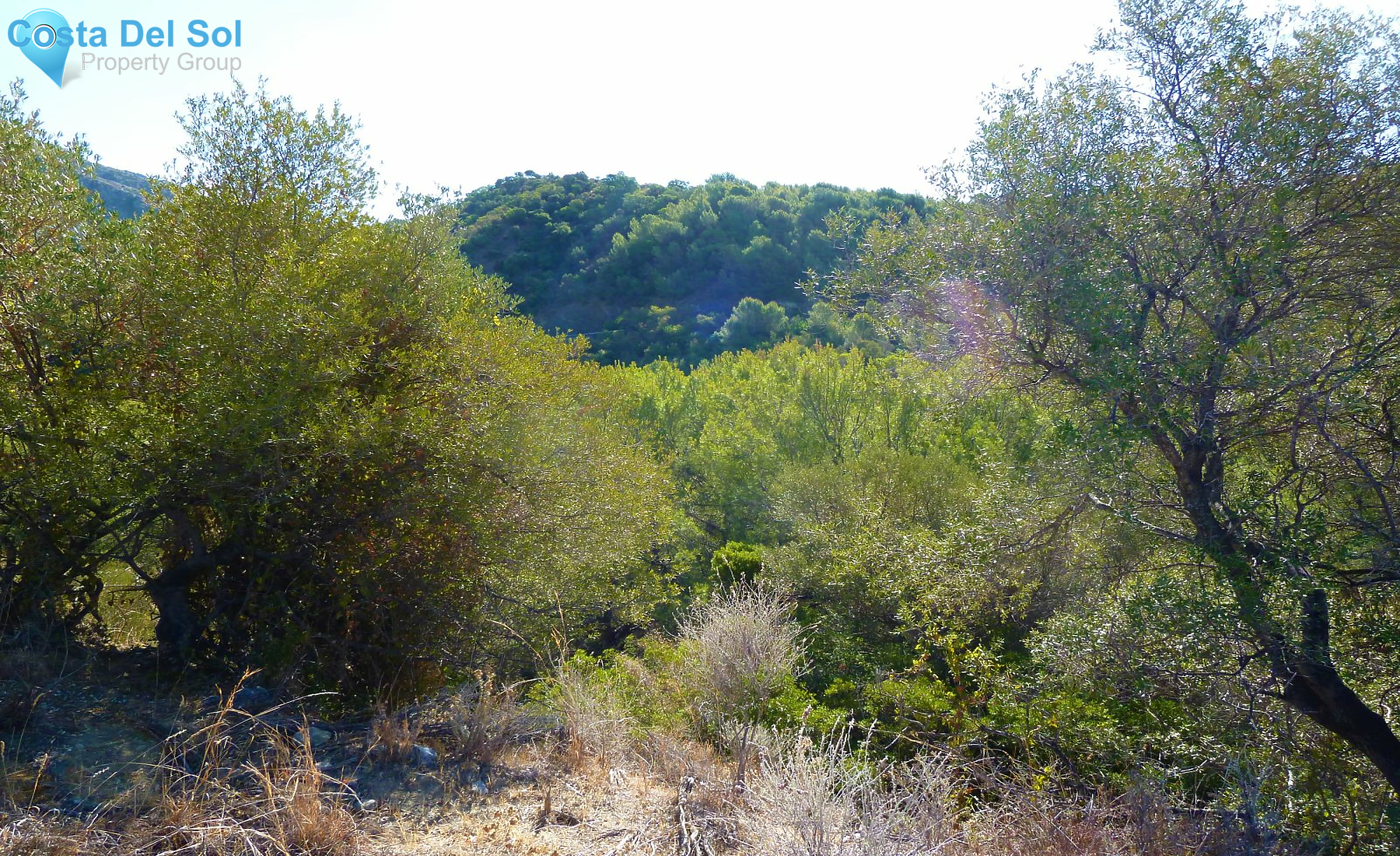 Land in Istán-1233085