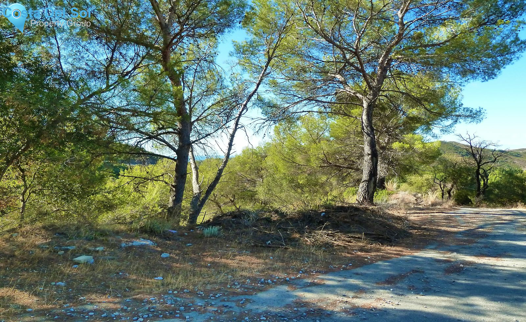 Land in Istán-1233086