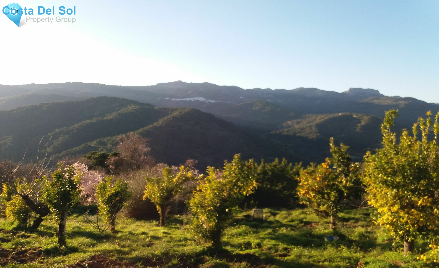 Land in Jubrique-1231203