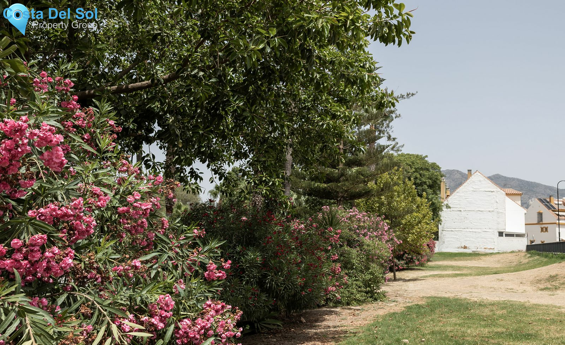 Land in Las Lagunas-1487902