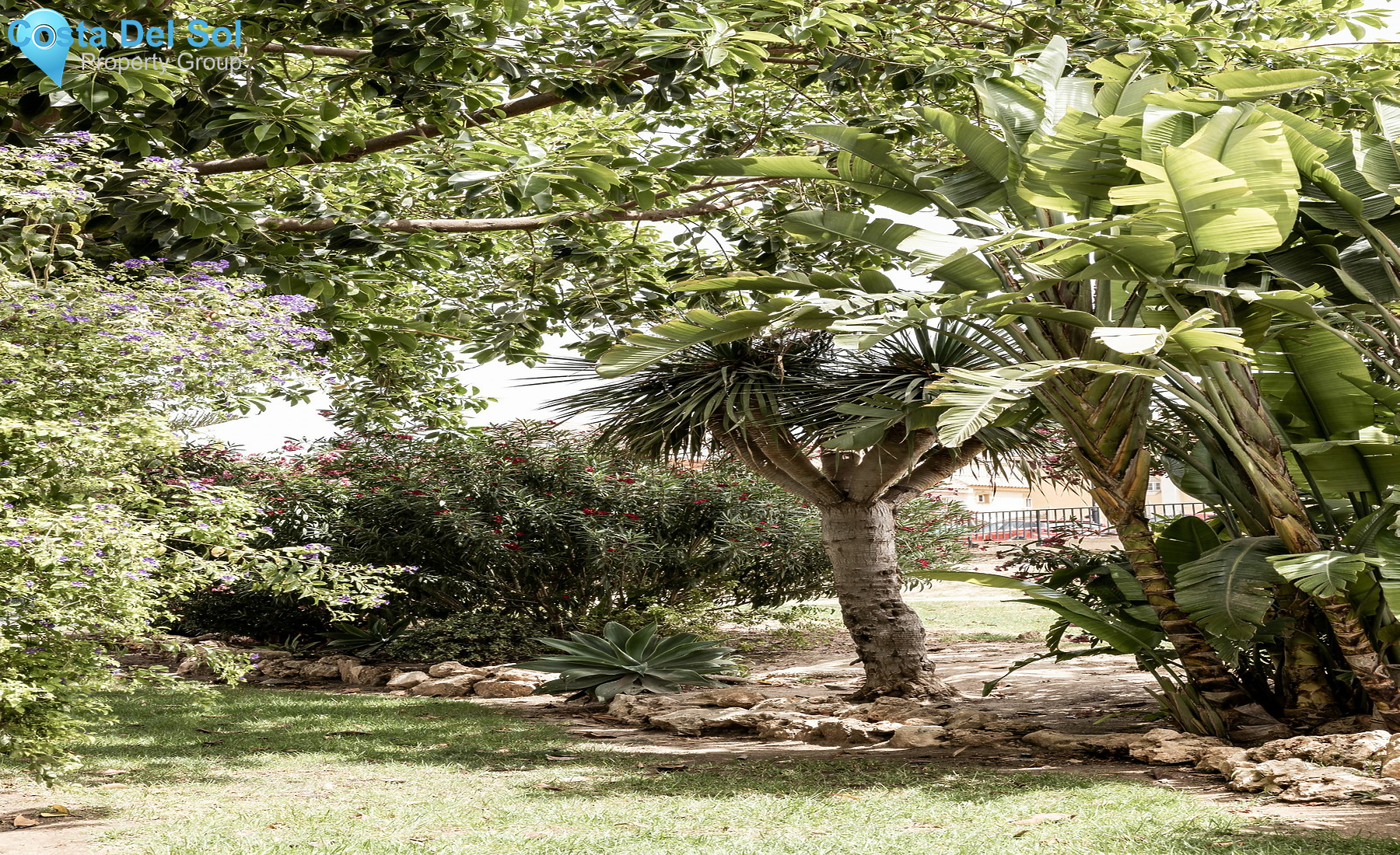 Land in Las Lagunas-1487897