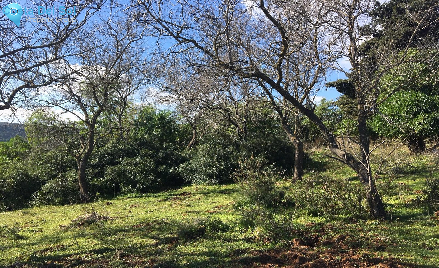Land in Manilva-1228654