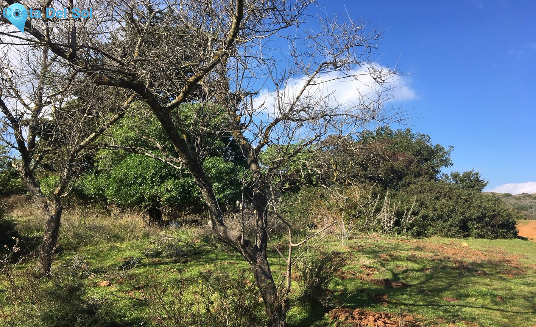 Land in Manilva-1228643
