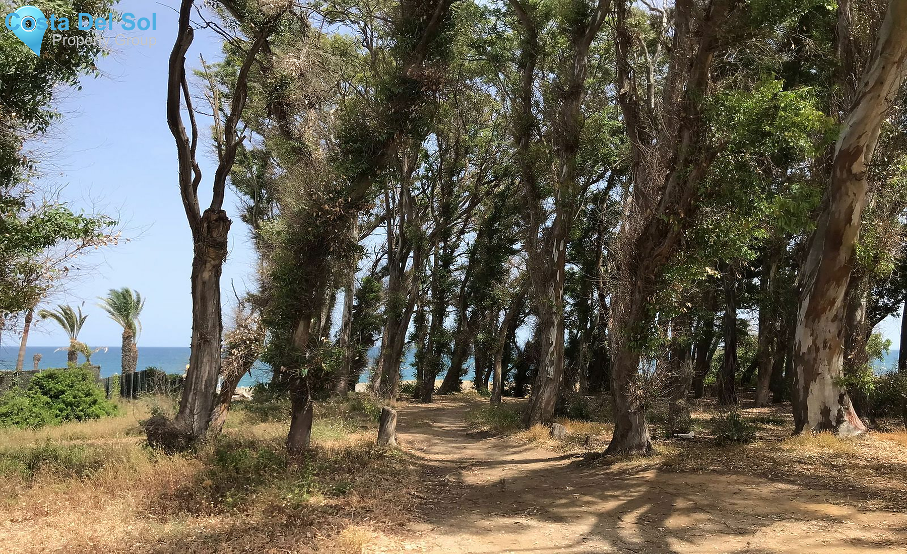 Land in Manilva-1393855