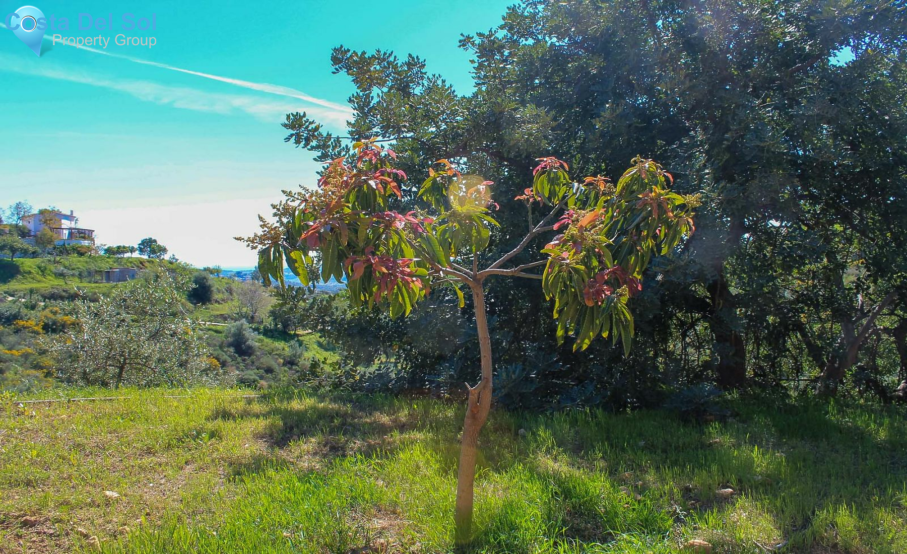 Land in Mijas-1133196